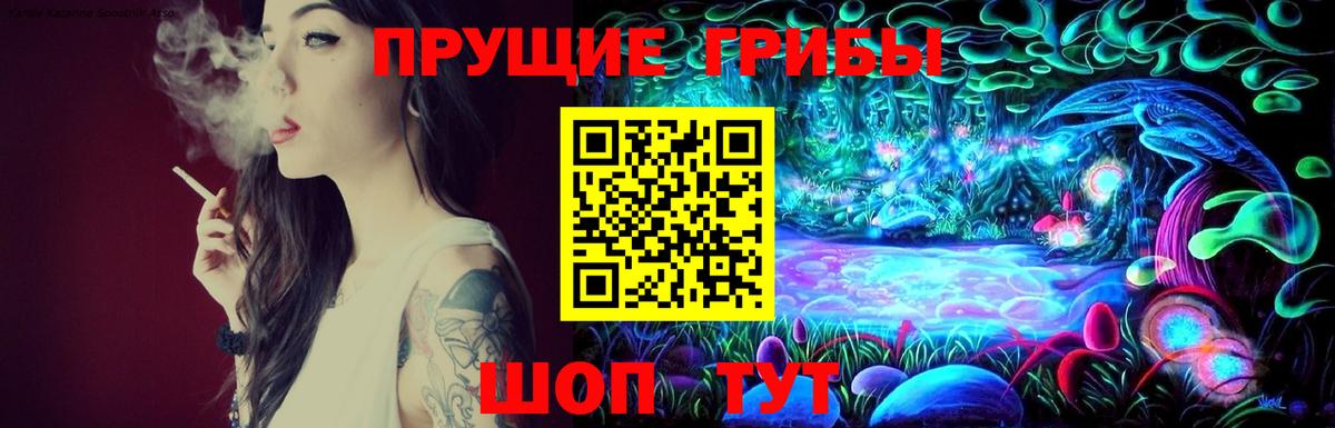 Галлюциногенные грибы MAGIC MUSHROOMS  Вход с VPN  Дербент 